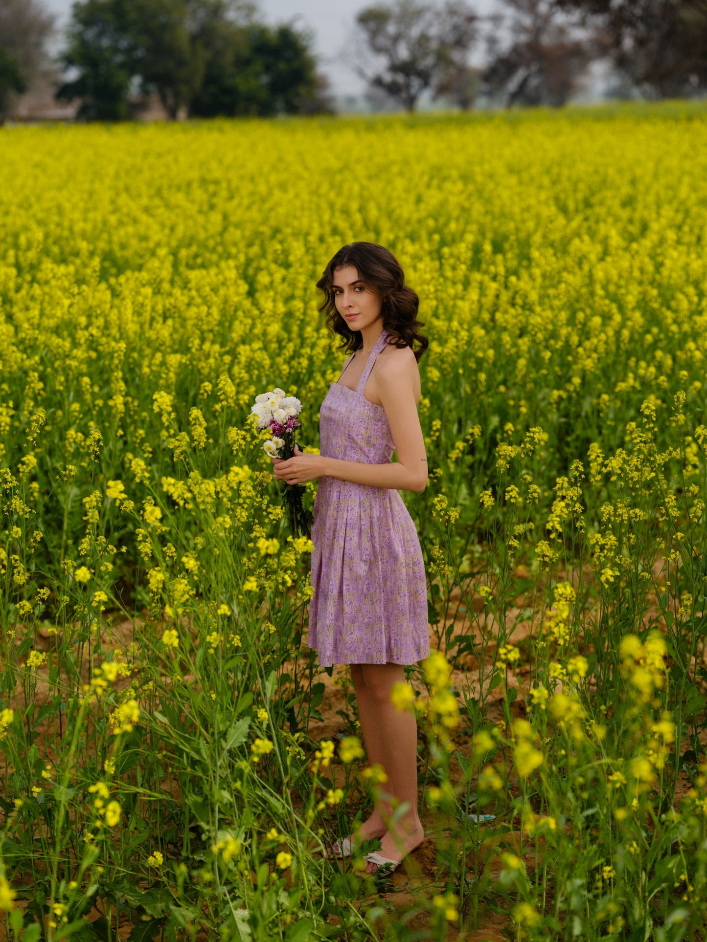 Lavender Meadow Short Dress