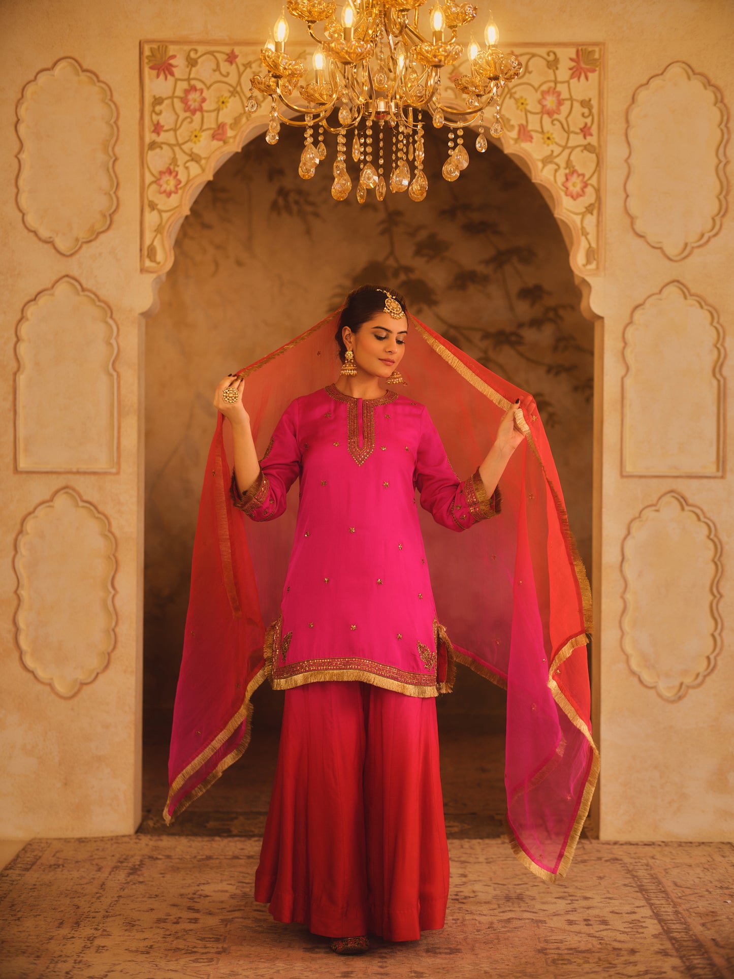 HOOR-E-MAHAL PINK & RED OMBRE KURTA SHARARA SET