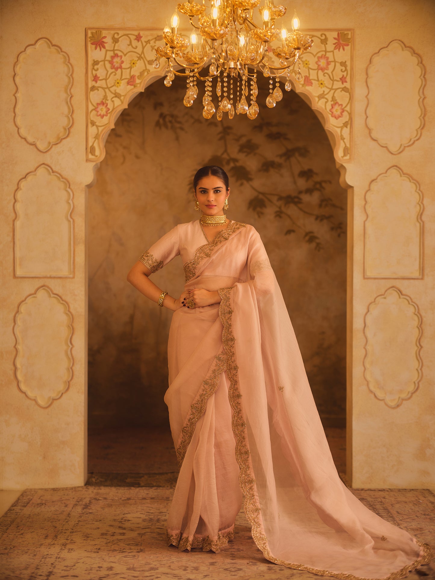 TAJRA PINK ORGANZA SAREE WITH ZERO-NECK BLOUSE