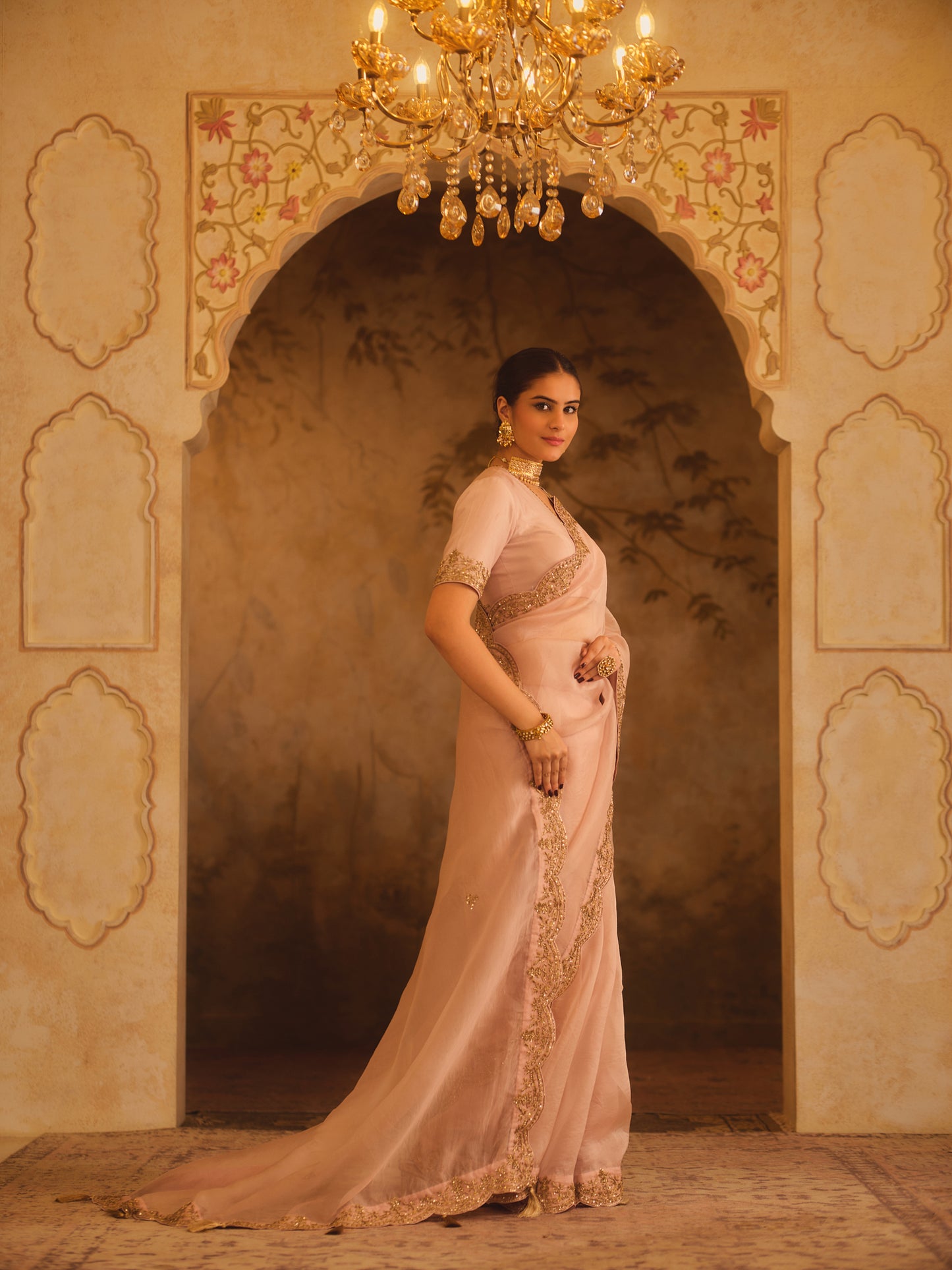 TAJRA PINK ORGANZA SAREE WITH ZERO-NECK BLOUSE