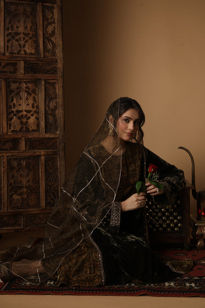 Zar-e-Makhmal Green Kali Kurta Set