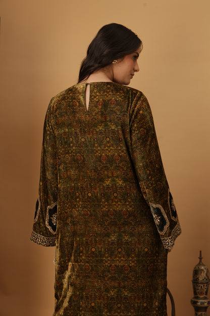 Zar-e-Makhmal Green Long Kaftan