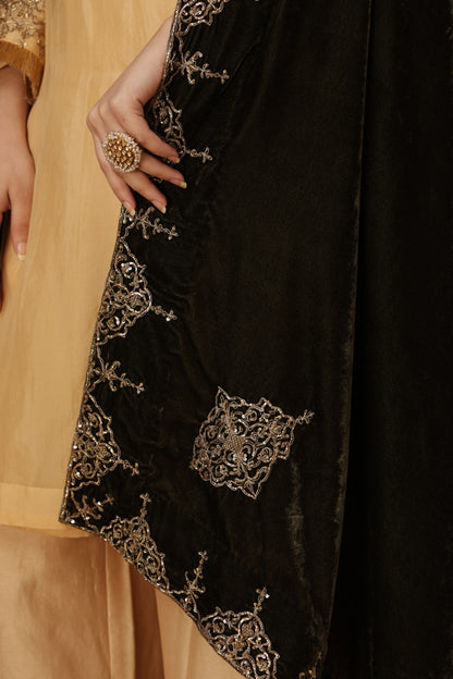 Zar-e-Makhmal Green Shawl