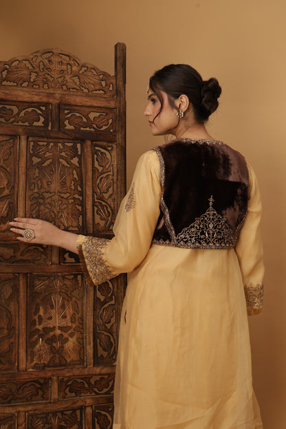 Zar-e-Makhmal Brown Short Jacket