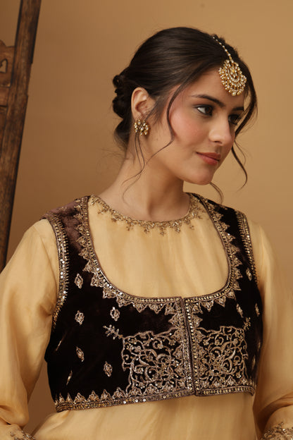 Zar-e-Makhmal Brown Short Jacket