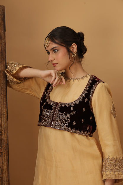 Zar-e-Makhmal Maroon Short Jacket
