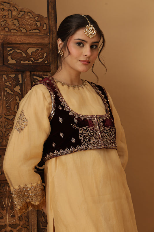 Zar-e-Makhmal Maroon Short Jacket