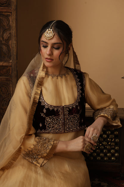 Zar-e-Makhmal Maroon Short Jacket