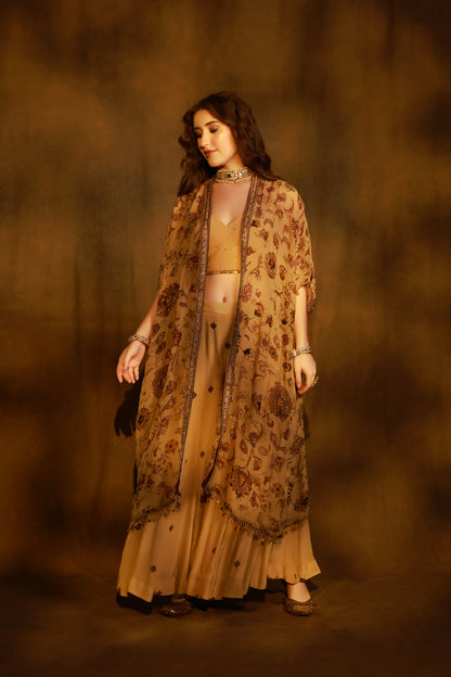 Zarkha Gold Sharara Cape Set