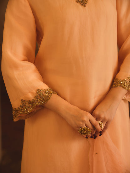 TAJRA PEACH V-NECK ORGANZA A-LINE KURTA SET
